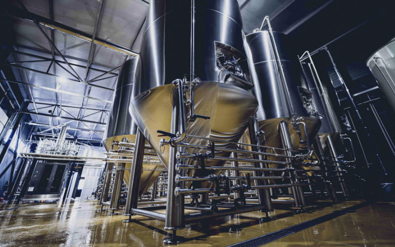 Food processing header image